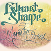 Edward Sharpe And The Magnetic Zeros