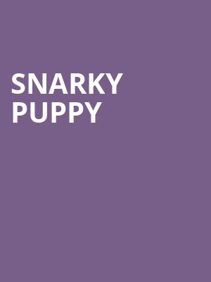 Snarky Puppy, Newport Music Hall, Columbus